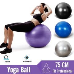 65cm Gym ball with Air pump - Fusion Gears